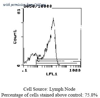 OriGene CL032BX image 1