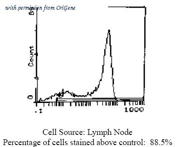 OriGene CL032RX image 1