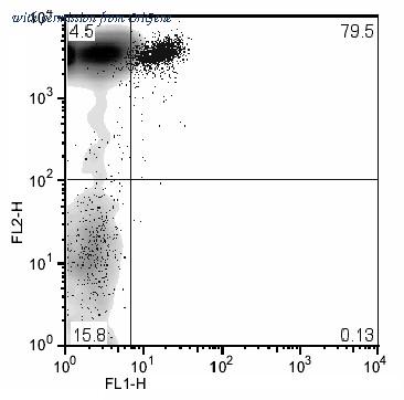 OriGene CL033FX image 1