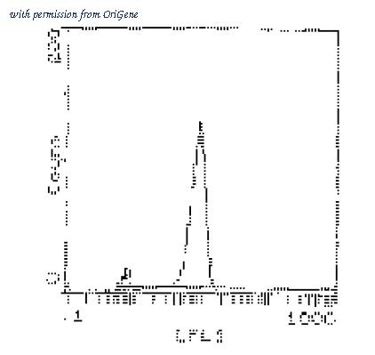 OriGene CL039F image 1