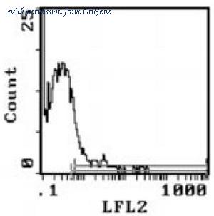 OriGene CL042R image 1