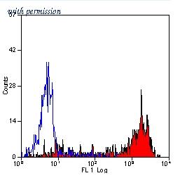 OriGene CL050LE image 1