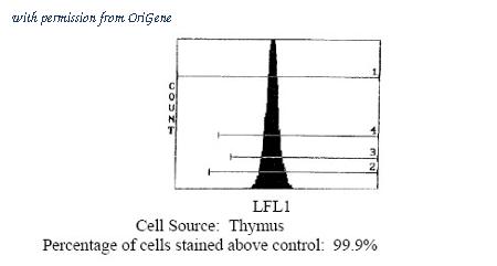 OriGene CL111A image 1