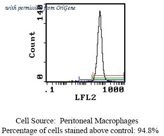 OriGene CL116A image 1