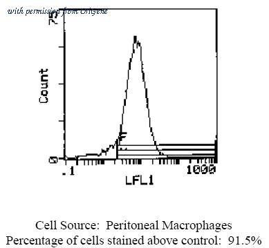 OriGene CL116BX image 1