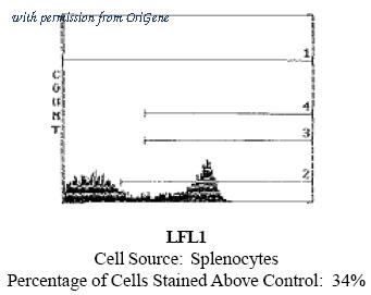 OriGene CL121PX image 1