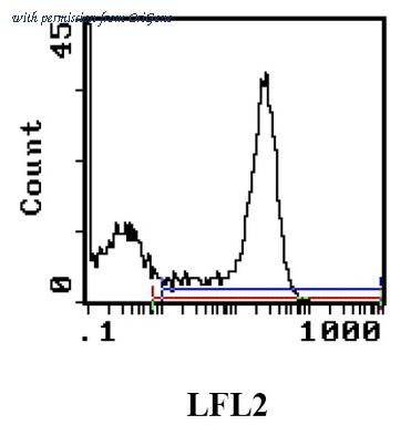 OriGene CL121R image 1
