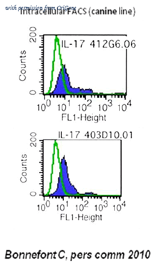 OriGene DDX0334P-100 image 1