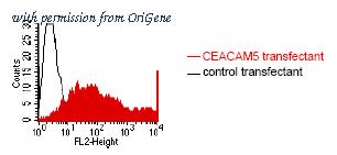 OriGene DM1202 image 1