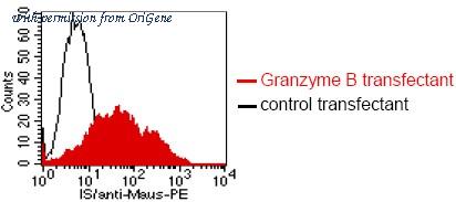 OriGene DM1208 image 1