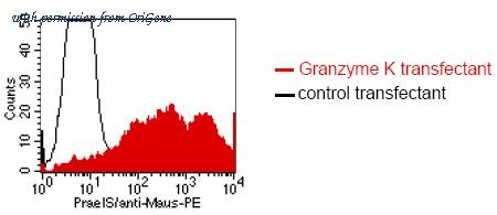 OriGene DM1214 image 1
