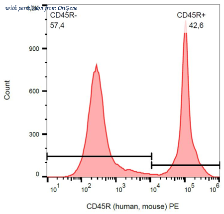 OriGene SM034LE image 1