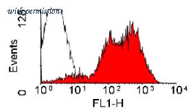 OriGene SM084FS image 1