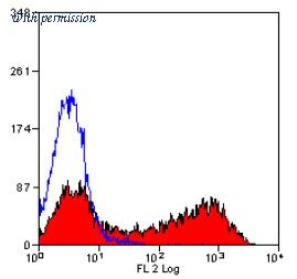 OriGene SM084R image 1