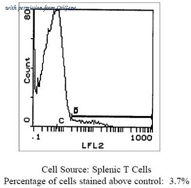 OriGene SM093B image 1