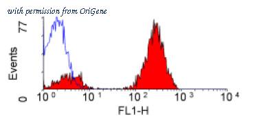 OriGene SM1057F image 1