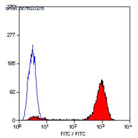 OriGene SM1065BT image 1