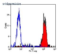 OriGene SM1066P image 1