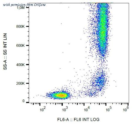 OriGene SM1070BT image 1