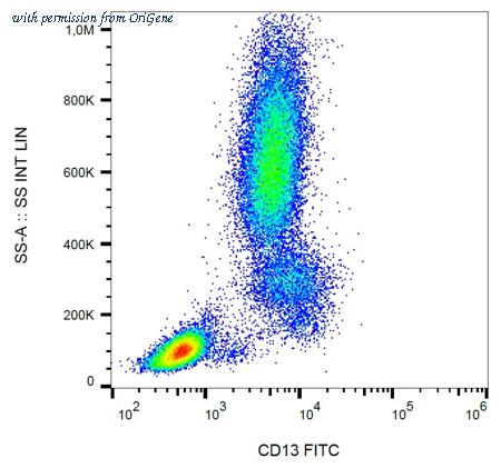 OriGene SM1070FC image 1