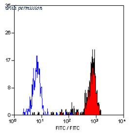 OriGene SM1071P image 1
