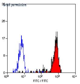 OriGene SM1071PS image 1