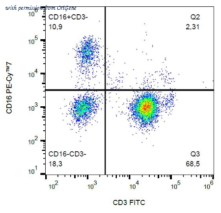 OriGene SM1072APC image 1