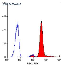 OriGene SM1073B image 1