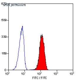 OriGene SM1092PT image 1