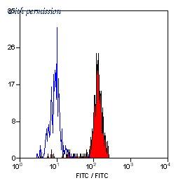 OriGene SM1103PS image 1