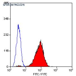 OriGene SM1104P image 1