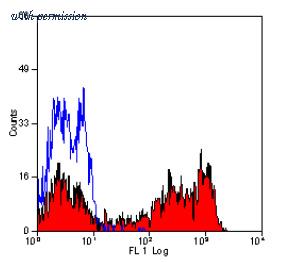OriGene SM1117PT image 1