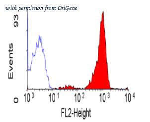 OriGene SM1121R image 1