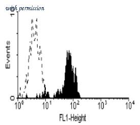 OriGene SM1152PT image 1