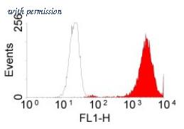 OriGene SM1334P image 1
