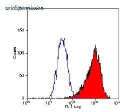 OriGene SM1603PT image 1