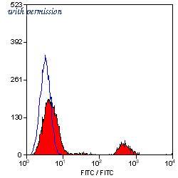 OriGene SM1676F image 1