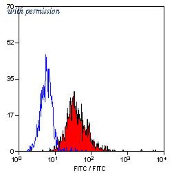 OriGene SM1677P image 1