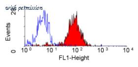 OriGene SM1769A image 1