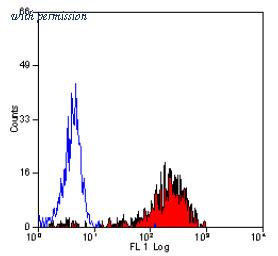 OriGene SM1769F image 1