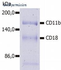 OriGene SM3007AS image 1