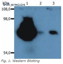 OriGene SM3024AC image 1