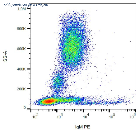 OriGene SM3063F image 1