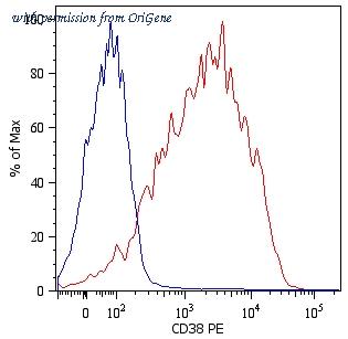 OriGene SM3083P image 1