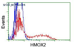 OriGene TA503813S image 1