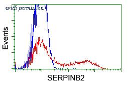 OriGene TA503926BM image 1