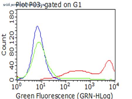 OriGene TA801941AM image 1