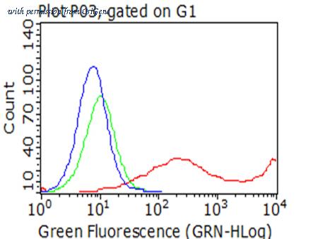 OriGene TA812375S image 1