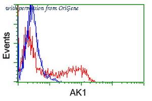OriGene TA500321BM image 1