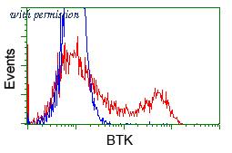 OriGene TA501094AM image 1